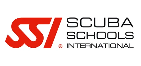 SSI